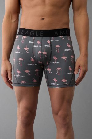 AEO Men's Flamingo Pond 6" Flex Boxer Brief