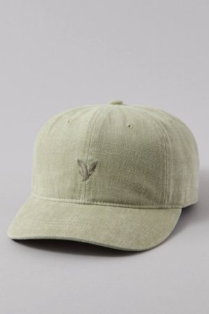 AE Logo Baseball Hat