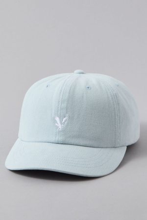 AE Eagle Baseball Hat