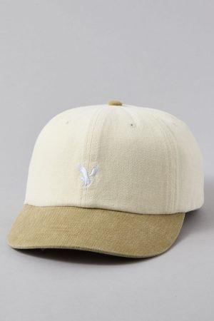 AE Eagle Baseball Hat