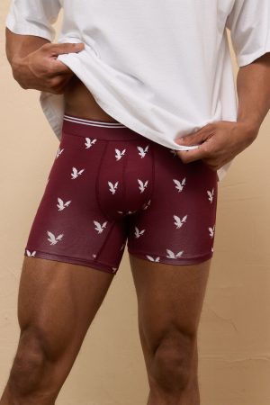 AEO Men's Eagles 4.5" Ultra Soft Boxer Brief