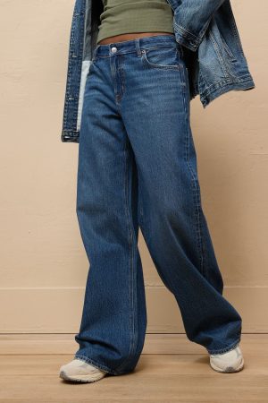 AE Low-Rise Baggy Wide-Leg Jean