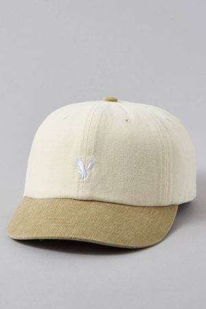 AE Eagle Baseball Hat