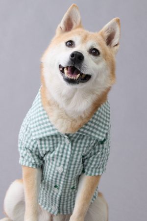 ABO Gingham Hearts Button-Up Dog Shirt