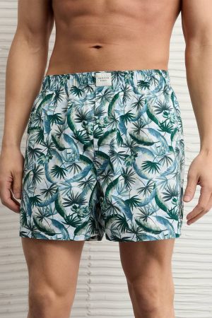 AEO Men's Cactus Stretch Boxer Short