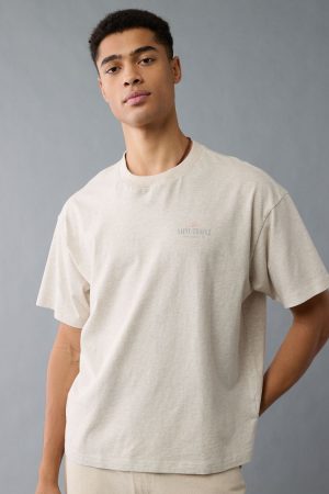 AE Boxy Destination Graphic T-Shirt