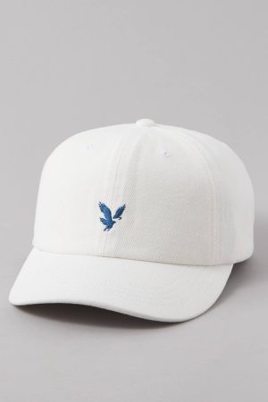 AE Baseball Hat