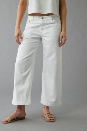 AE Dreamy Drape Strigid Low-Rise Baggy Wide-Leg Crop Jean
