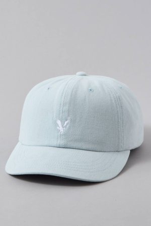 AE Eagle Baseball Hat
