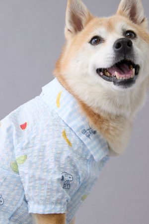 ABO Snoopy Fruit Button-Up Dog Shirt