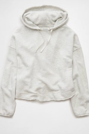 AE Saltwash Hoodie